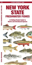 Cover: New York State Freshwater Fishes - Waterford Press Ltd