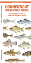 Cover: Connecticut Freshwater Fishes - Waterford Press Ltd