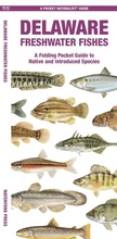 Cover: Delaware Freshwater Fishes - Waterford Press Ltd