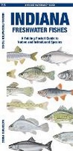 Cover: Indiana Freshwater Fishes - Waterford Press Ltd