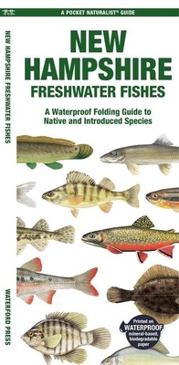 Abbildung von: New Hampshire Freshwater Fishes - Waterford Press Ltd