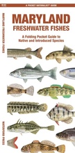 Cover: Maryland Freshwater Fishes - Waterford Press Ltd
