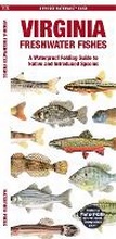 Cover: Virginia Freshwater Fishes - Waterford Press Ltd