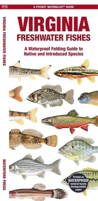 Abbildung von: Virginia Freshwater Fishes - Waterford Press Ltd
