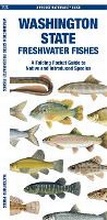 Cover: Washington State Freshwater Fishes - Waterford Press Ltd