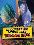 Cover: Groupers and Moray Eels Team Up! - Capstone Press