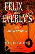 Cover: Felix and Everly's Mini Adventures - Astera Books