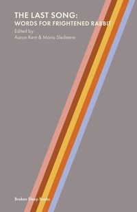 Enlarge image Cover: The Last Song - Broken Sleep Books