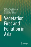 Cover: Vegetation Fires and Pollution in Asia - Springer