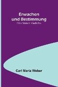 Cover: Erwachen und Bestimmung - ALPHA EDITION