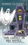 Cover: The Ghost In My Hotel (The Haunted Hotel Series, #1) - My Big Fat Orange Cat Publishing