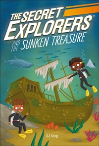 Enlarge image Cover: The Secret Explorers and the Sunken Treasure - DK flip