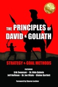 Cover: The Principles of David and Goliath Volume 2 - BEYOND PUBLISHING