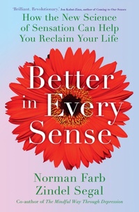 Enlarge image Cover: Better in Every Sense - Yellow Kite