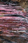 Cover: Livestream - Shearsman Books