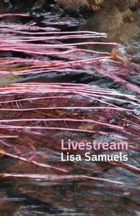 Enlarge image Cover: Livestream - Shearsman Books