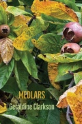 Cover: Medlars - Shearsman Books