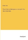 Cover: Three Visits to Madagascar during the Year 1853-1854-1856 - Anatiposi Verlag