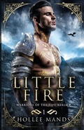 Cover: Little Fire - Hollee Mands