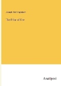 Cover: The Pillar of Fire - Anatiposi Verlag