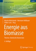 Cover: Energie aus Biomasse - Springer Vieweg