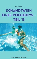 Cover: Schandtaten eines Poolboys - Teil 13 - Books on Demand