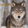 Cover: Wolves 2024 - Tushita PaperArt GmbH