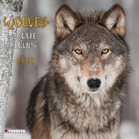 Enlarge image Cover: Wolves 2024 - Tushita PaperArt GmbH