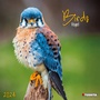 Cover: Birds in our Garden 2024 - Tushita PaperArt GmbH