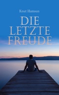 Cover: Die letzte Freude - e-artnow