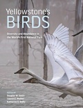 Cover: Yellowstone's Birds - Princeton University Press