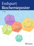 Bild: Endspurt Biochemieposter - Thieme