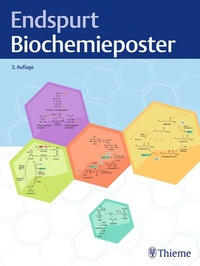 Abbildung von: Endspurt Biochemieposter - Thieme