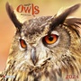 Cover: Magic Owls 2024 - Tushita PaperArt GmbH