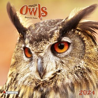 Enlarge image Cover: Magic Owls 2024 - Tushita PaperArt GmbH