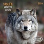 Cover: Wolves/W&ouml;lfe 2024 - Tushita PaperArt GmbH