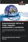 Cover: Inquinamento idrico in Ciad - Edizioni Sapienza