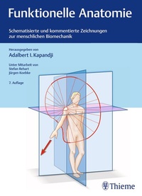 Abbildung von: Funktionelle Anatomie - Thieme