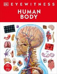 Enlarge image Cover: Human Body - DK Children