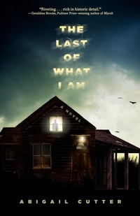 Enlarge image Cover: The Last of What I Am - Union Square & Co.
