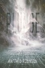 Cover: The Plunge - Austin Macauley Publishers
