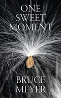 Cover: One Sweet Moment - Guernica Editions,Canada