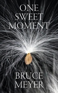 Enlarge image Cover: One Sweet Moment - Guernica Editions,Canada