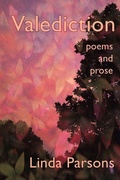 Cover: Valediction - Madville Publishing LLC