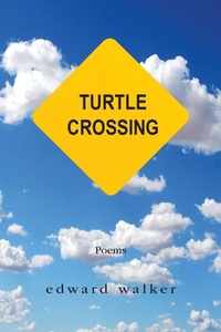 Enlarge image Cover: Turtle Crossing - Edward Walker