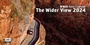 Cover: McKlein Rally 2024 - The Wider View - McKlein Publishing