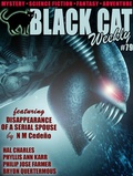Cover: Black Cat Weekly #79 - Wildside Press