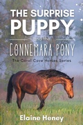 Cover: The Surprise Puppy and the Connemara Pony - The Coral Cove Horses Series (Coral Cove Horse Adventures for Girls and Boys, #3) - Elaine Heney