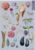 Cover: myNOTES Papeterie: Notizheft Natursch&auml;tze - arsEdition