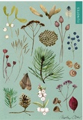 Cover: myNOTES Papeterie: Notizheft Natursch&auml;tze - arsEdition